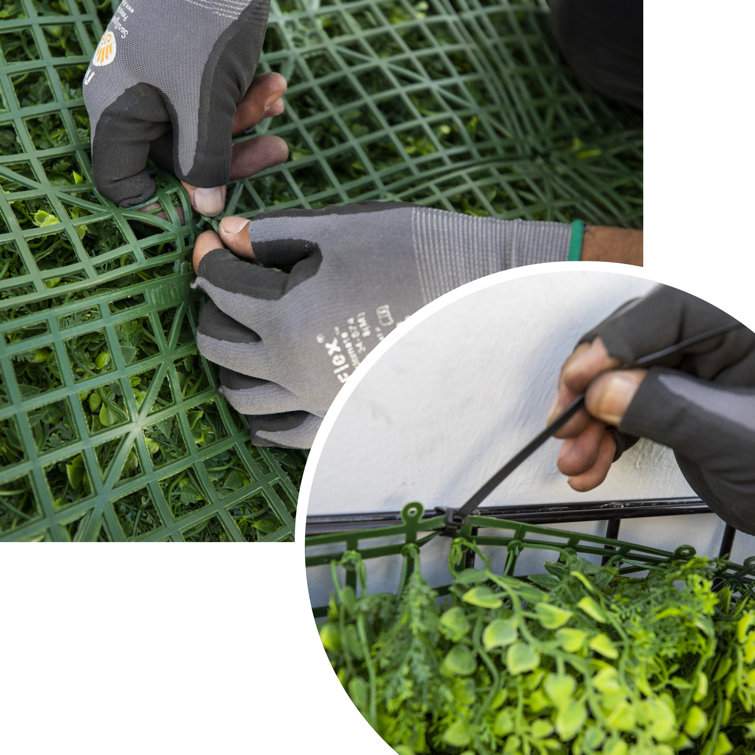 Primrue 20'' Faux Boxwood Hedge Wayfair Canada